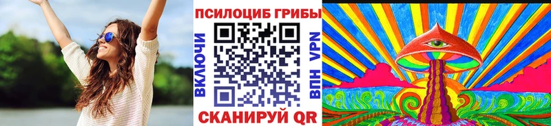 продажа наркотиков  Боготол  нарко площадка состав  Псилоцибиновые грибы Cubensis 